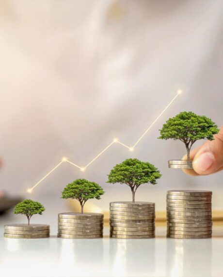 Consulting & Advisory